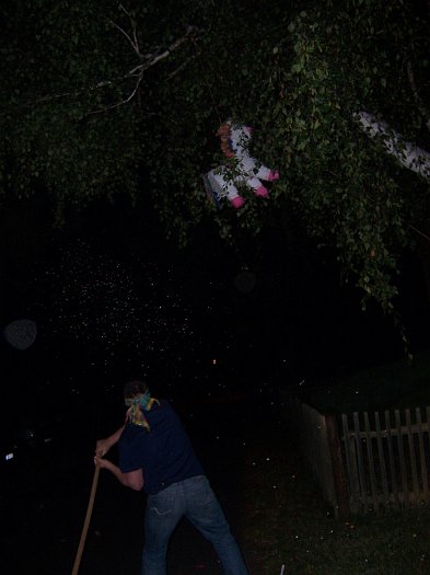 Click for next image